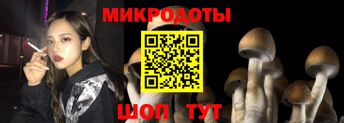 Псилоцибиновые грибы Magic Shrooms  Галлюциногенные грибы мухоморы  Сафоново  купить наркотик  Вход с VPN 